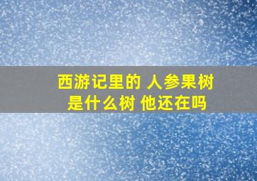 西游记里的 人参果树 是什么树 他还在吗